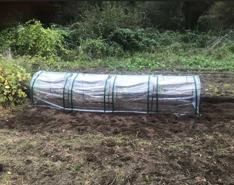 Portable Tunneled Greenhouse With 4 Zippered Doors, Water UV Fighting PVC Cover – Dark Green Clear